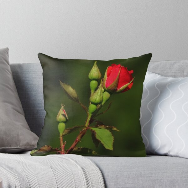 Item preview, Roses From Geneva ~ Part One designed and sold by artisandelimage.