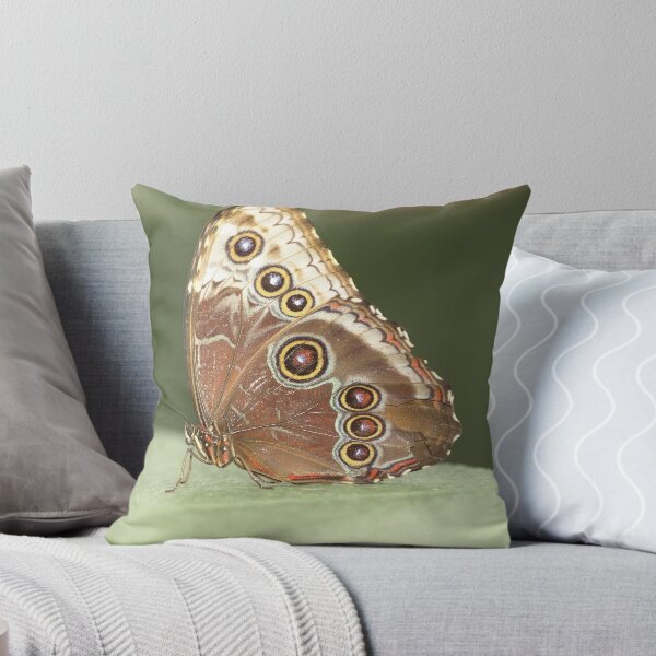 Artikelvorschau, Butterfly Camouflage  entworfen und verkauft von Carla Nicely.