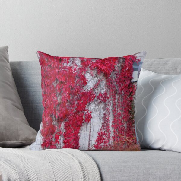 Item preview, Fiery Red Ivy designed and sold by kenspics.