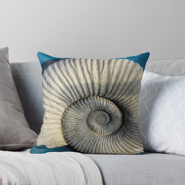 Aperçu de l'œuvre Ammonite créée et vendue par lynn carter.