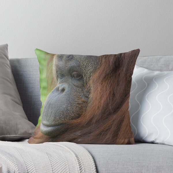 Item preview, Orangutan (Ponga pygmaeus) designed and sold by ensell.
