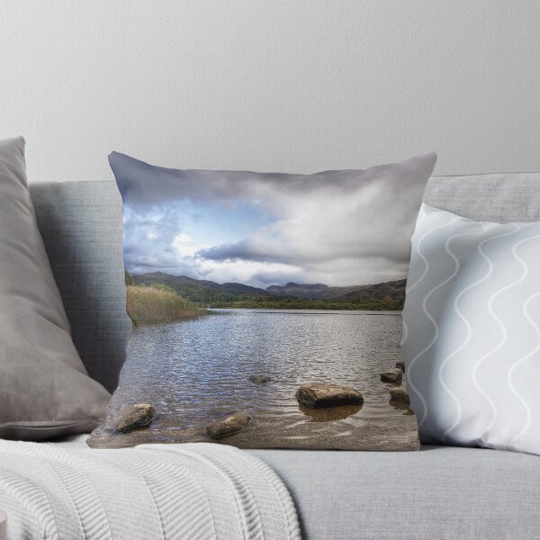 Item preview, Elter Water designed and sold by Mike Church.