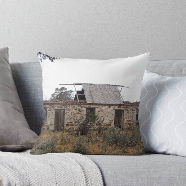 Item preview, Hume Highway homestead ruin designed and sold by DashTravels.