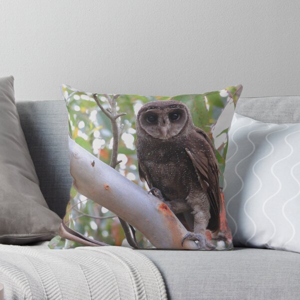 Item preview, Sooty Owl Tyto Tenebricosa . designed and sold by Donovan Wilson.