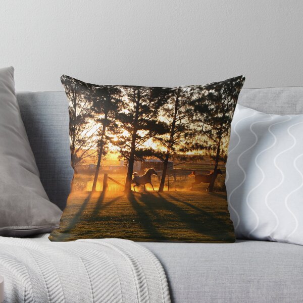 Sunset & Shadows Throw Pillow