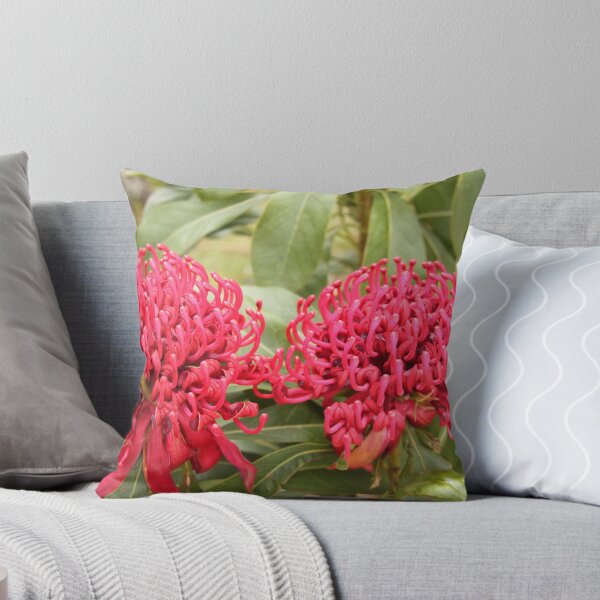 Item preview, Waratahs designed and sold by Wendy Sinclair.
