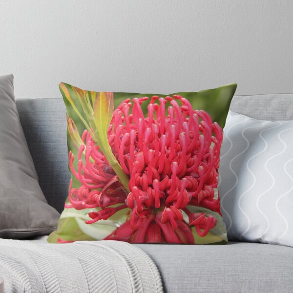 Aperçu de l'œuvre Waratah créée et vendue par Wendy Sinclair.