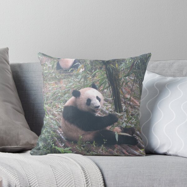 Item preview, Panda bear in China designed and sold by TravelGrl.