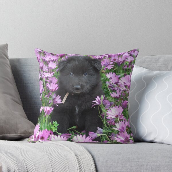 Item preview, Groenendael puppy helping in the flower garden. designed and sold by Belgian Shepherd Dog Club of QLD Inc.