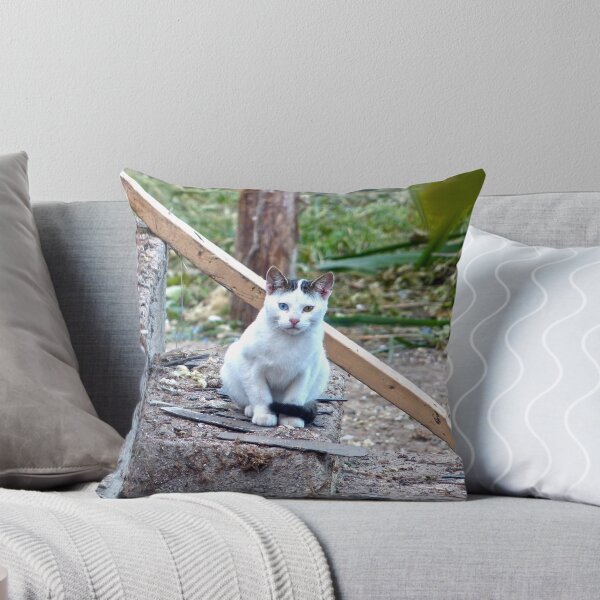 Item preview, Checking Things Out designed and sold by Frankie Cat Photography.