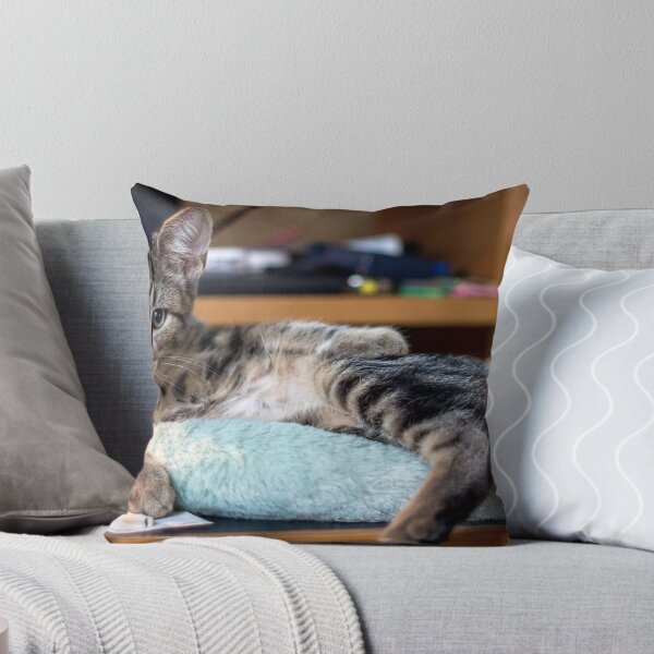 Item preview, Lazin' on the Desktop designed and sold by Mikell Herrick.