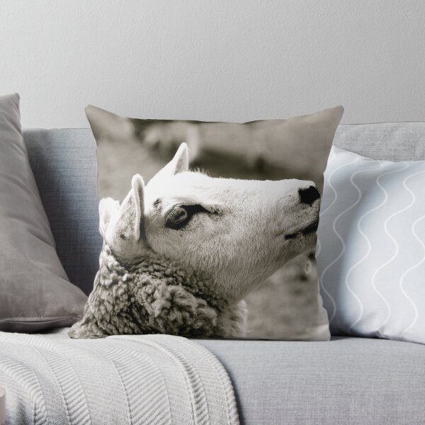 Sheep Throw Pillow