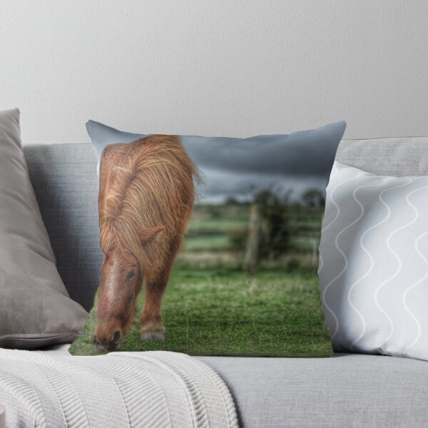 Aperçu de l'œuvre Poney de pâturage créée et vendue par TKpics.