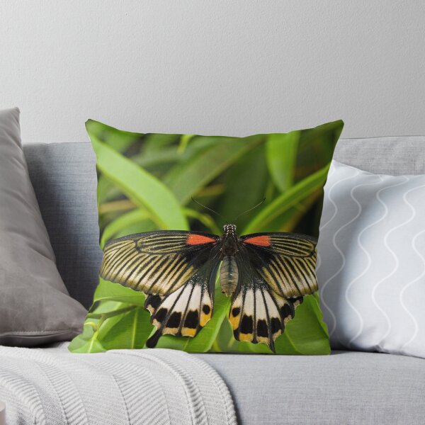Item preview, Swallowtail designed and sold by Thaddeus Zajdowicz.