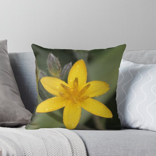 Item preview, Star Flower designed and sold by Rina Greeff.
