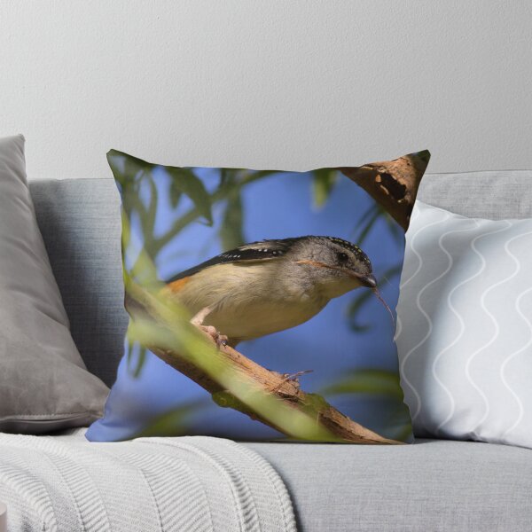 Item preview, Spotted Pardalote designed and sold by Kym Bradley.