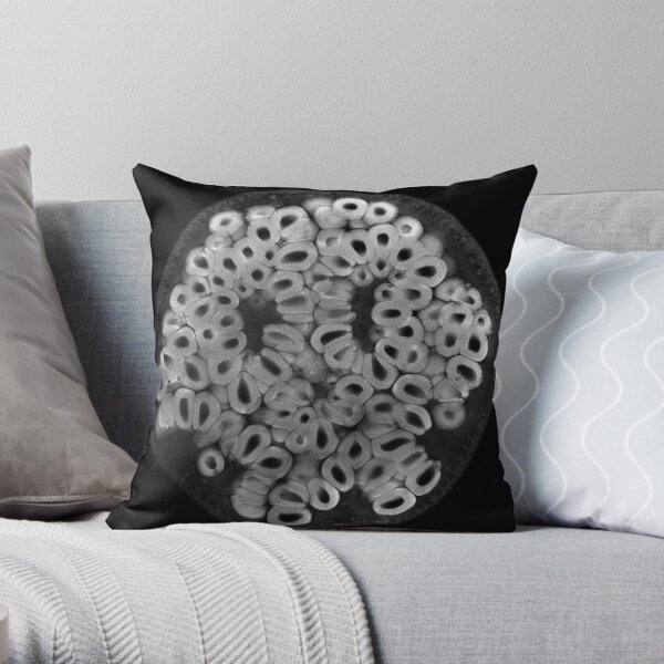 Pomegranate Throw Pillow