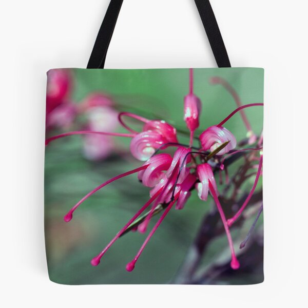 Artikelvorschau, Glowing Grevillea entworfen und verkauft von jayneeldred.