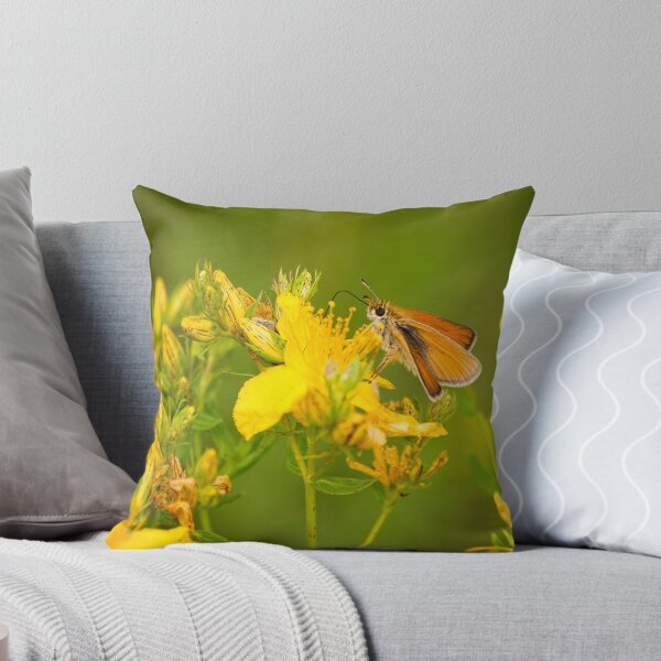 Item preview, Beautiful Skipper Butterfly designed and sold by Thomasyoung.