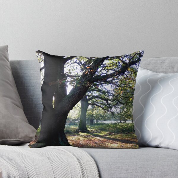 Item preview, Autumn in the Park designed and sold by mikebov.