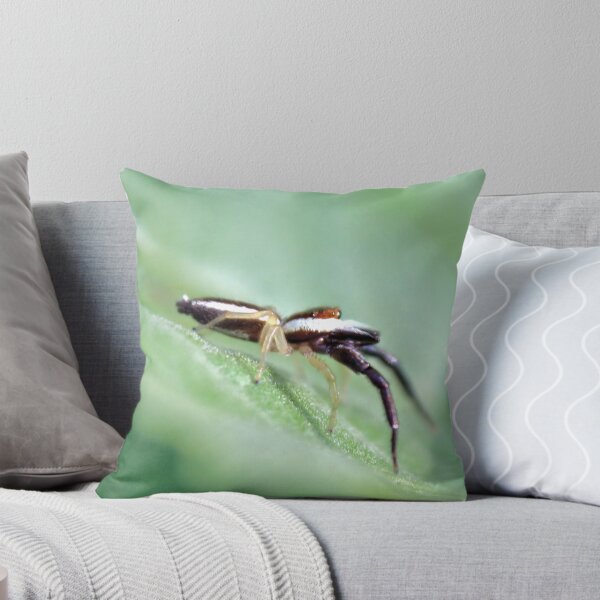 Item preview, Just Waiting designed and sold by aprilann.