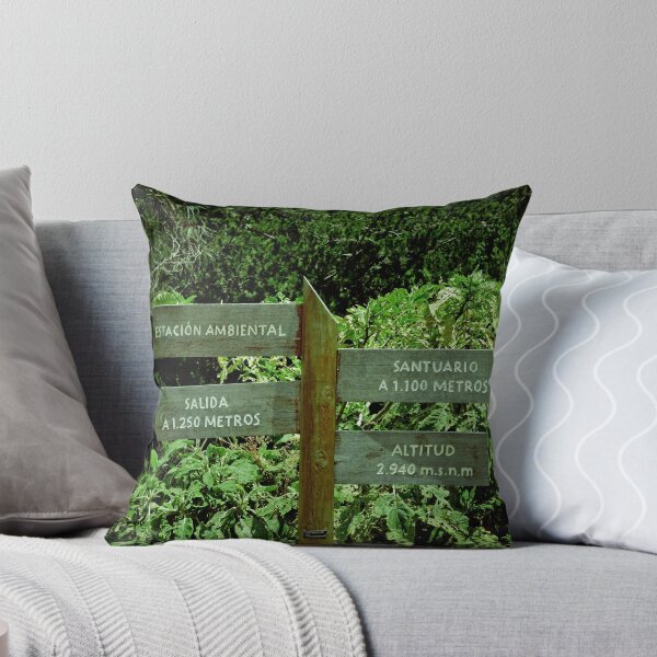 Item preview, Different paths, but one sure. designed and sold by ALEJANDRA TRIANA MUÑOZ.