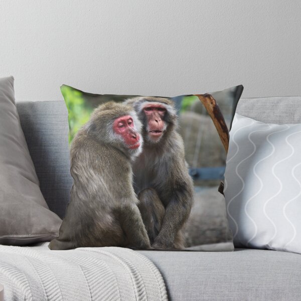 Item preview, Japanese Macaques designed and sold by margotk.