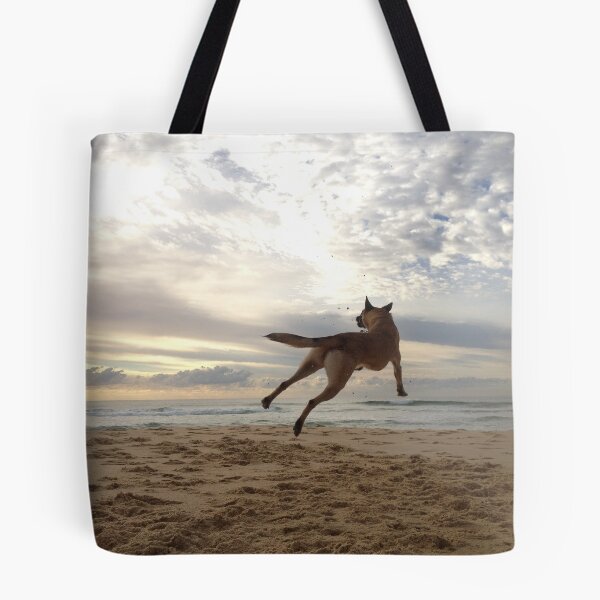 Item preview, Maliniois jumping for joy! designed and sold by Belgian Shepherd Dog Club of QLD Inc.