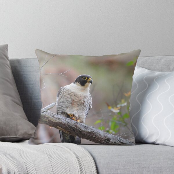 Artikelvorschau, In Falcon trouble.   Peregrine Falcon (Falco peregrinus)  entworfen und verkauft von Donovan Wilson.