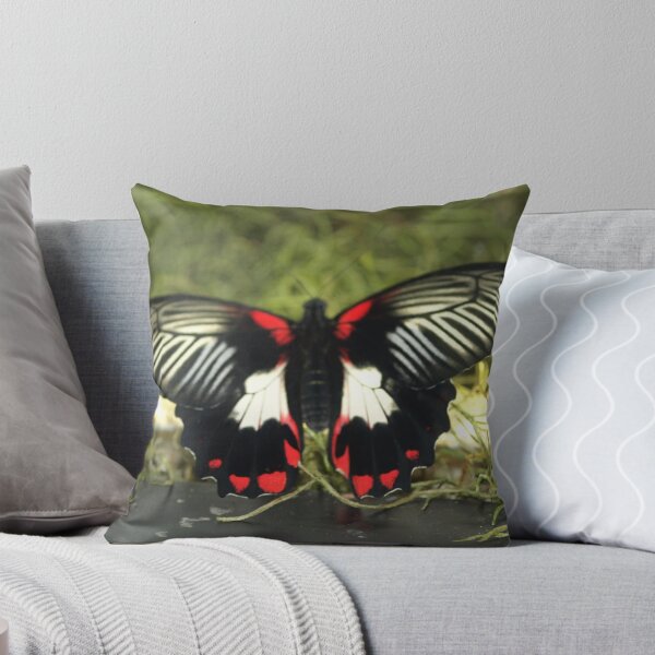 Item preview, Red and Black Butterfly designed and sold by Carla Nicely.
