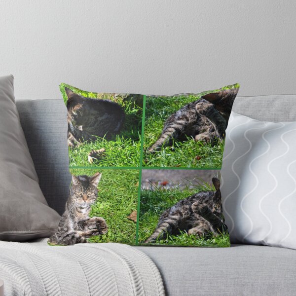 Item preview, Grooming Time designed and sold by lynn carter.