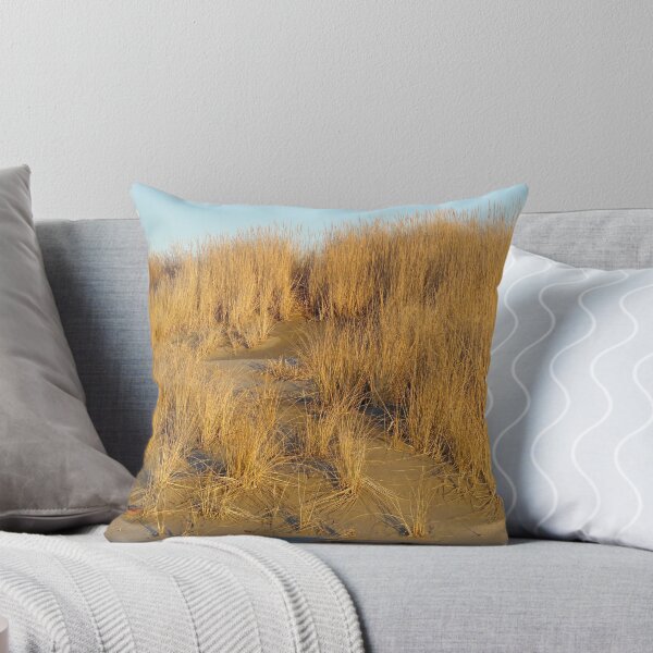 Item preview, Washington Beach Sand Dune designed and sold by Robert Meyers-Lussier.