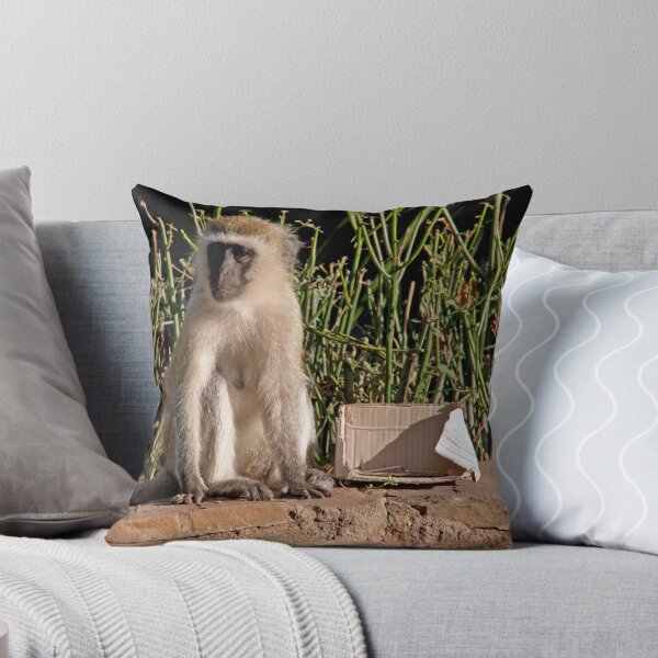 Item preview, African Green Monkey designed and sold by phil decocco.