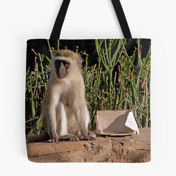 Item preview, African Green Monkey designed and sold by phil decocco.