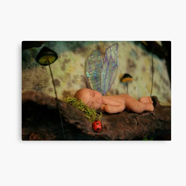 fae babe Canvas Print