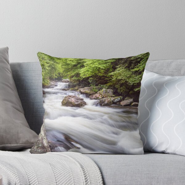 Artikelvorschau, Cullasaja Rapids entworfen und verkauft von PhotoByTrace.