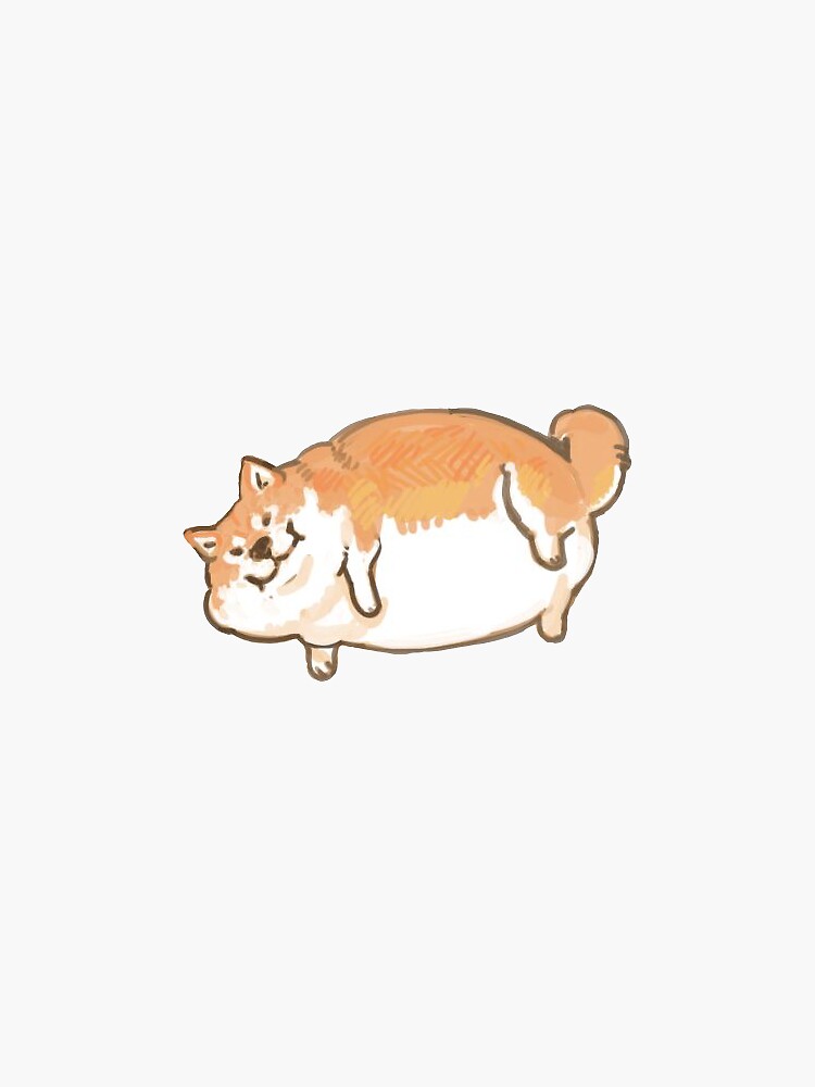 chonky shiba inu