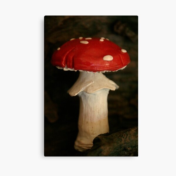 redcap Canvas Print