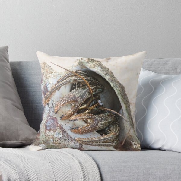 Item preview, Hermit Crab designed and sold by Lorri Crossno Nevil.
