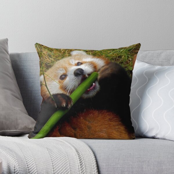 Playing Around Throw Pillow