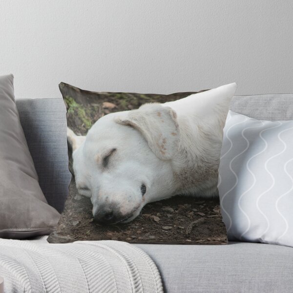 Item preview, White Dog Sleeping designed and sold by rhamm.