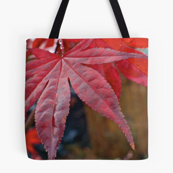 Artikelvorschau, Japanese Maple Leaf entworfen und verkauft von Cee Neuner.