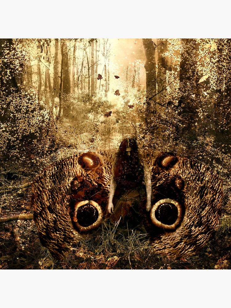 Moth by KatarinaSilva