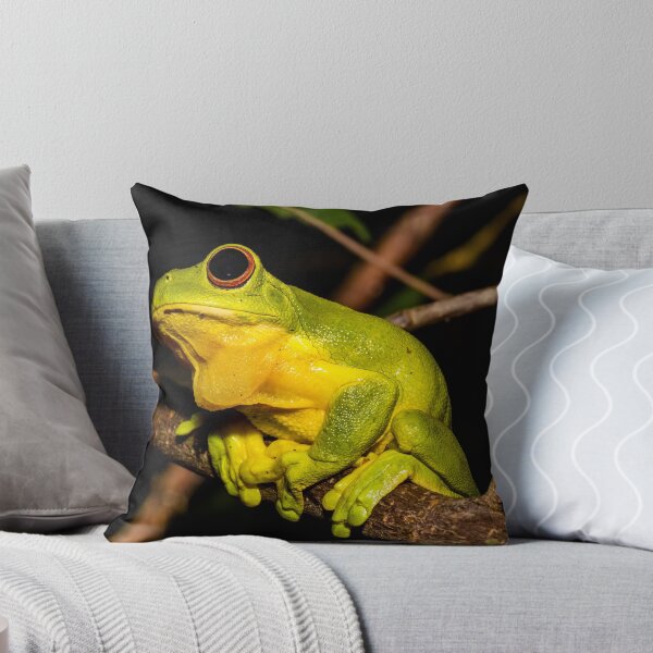 Item preview, Red-Eyed Tree Frog designed and sold by Derek Byrne.