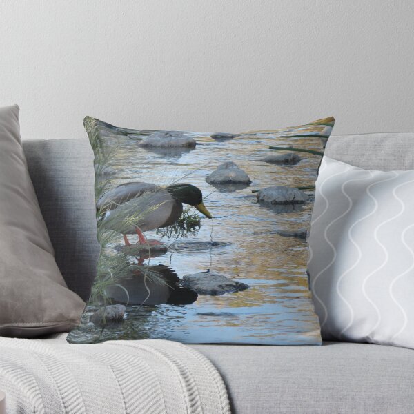 Item preview, Dribbling Drake designed and sold by Luck of the Shutter.