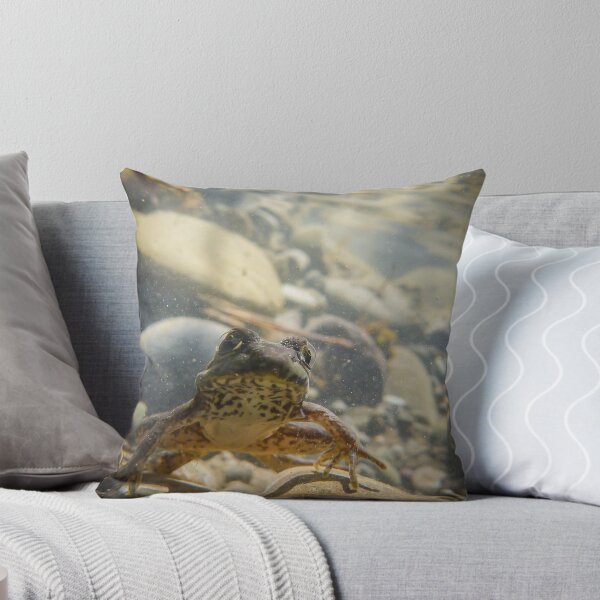 Item preview, Underwater Rockscape, Green Frog (Rana clamitans) designed and sold by Dave Huth.