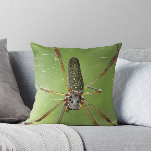 Item preview, not phobia but respect - no fobia pero respecto designed and sold by Bernhard Matejka.