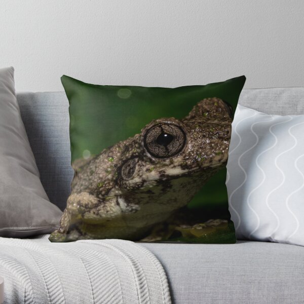 Emerald Tree Frog - Litoria peroni Throw Pillow