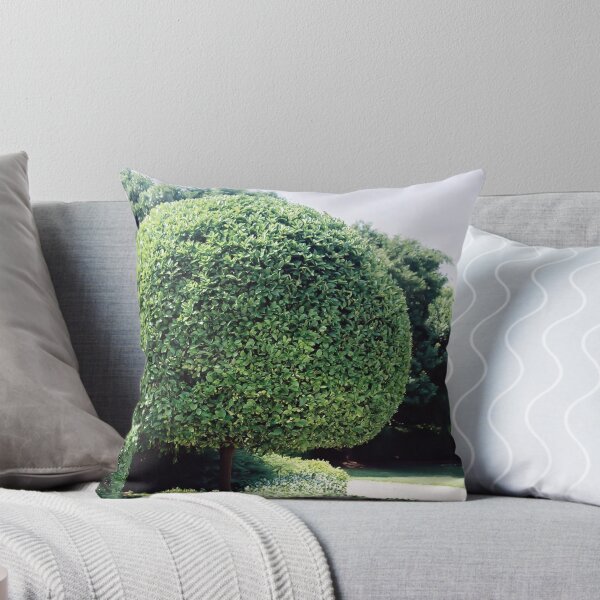 Item preview, a fine work of topiary designed and sold by adamsown.