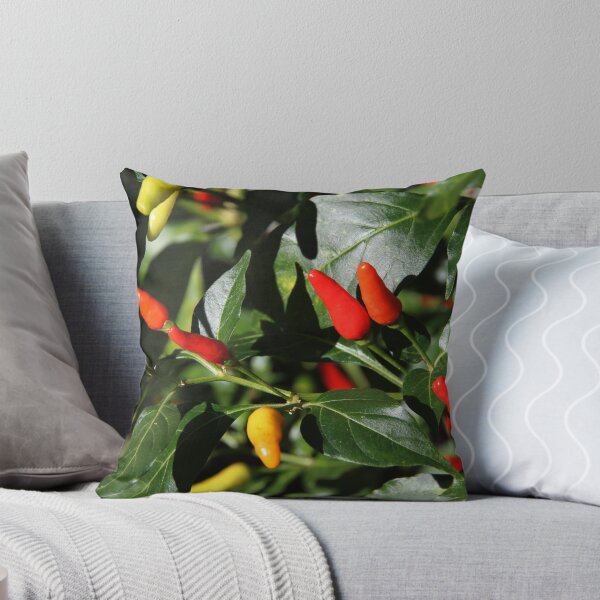 Item preview, Chillies In May designed and sold by Robyn J. Blackford.